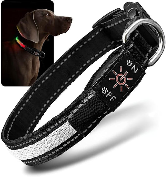 LED Dog Collar - Bright Premium Weatherproof Light Up Collar for Pet Safety, USB C Rechargeable & Adjustable for Small, Medium & Large Dogs (Multicolor, Medium)