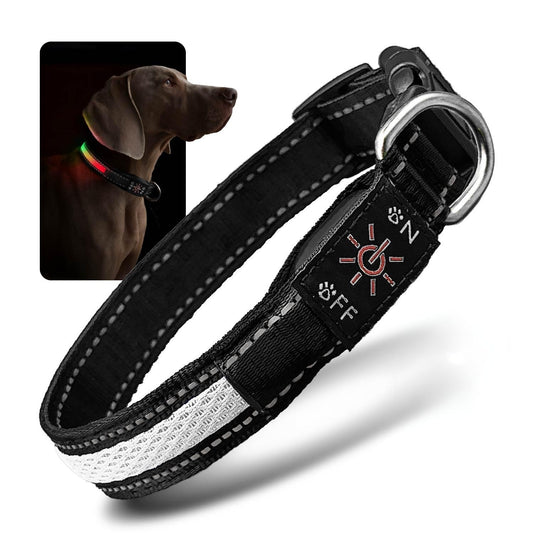 ZAPRIX LED Dog Collar - Bright Premium Weatherproof Light Up Collar for Pet Safety, USB C Rechargeable & Adjustable for Small, Medium & Large Dogs (Multicolor, Medium)