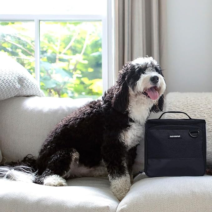 Large 7-Piece Bistro Box Dog Food Travel Kit, 12-Cup Kibble Storage, 2 Silicone Bowls, Mat & Scoop - Premium Portable Pet Food Kit for Weekends, Overnights, Daycare & Camping, Graphite