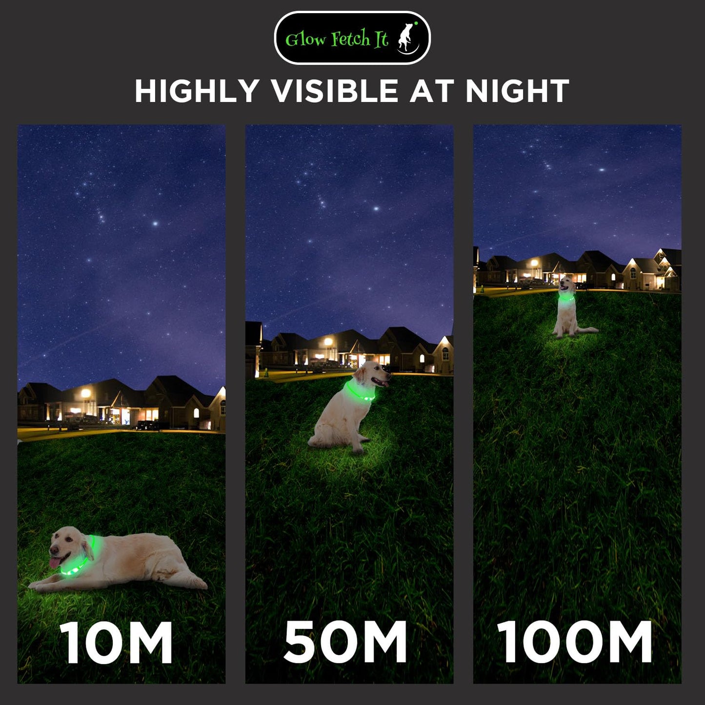 LED Dog Collar, Waterproof Light Up Dog Collar Rechargeable, Dog Safety Necklace for Night Walking, Adjustable Cut-to-Fit Silicone Collar Small Medium Large Dog 27.5” Cuttable (Green)