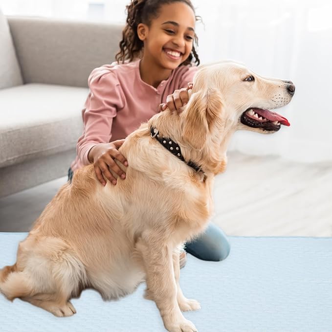 Dog Cooling Mat, Durable Machine Washable Pets Cool Pad, XX-Large, Blue