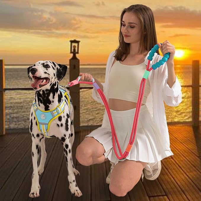 JSXD Dog Leash,5 FT Heavy Duty Dog Training Leash,Double Handle Comfortable Padded Hands Free Dog Leash,Adjustable Crossbody Waist Leash for Small Medium Large Dogs(Red)