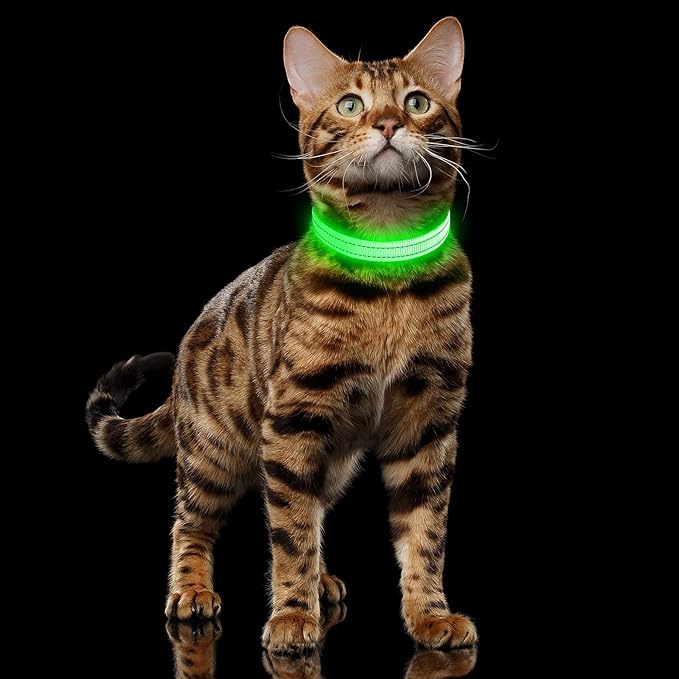 illumifun LED Dog Collar for Puppy, USB Rechargeable Light Up Collar, Lightweight Nylon Glowing Dog Collar for Your Small Pups& Cats (Green, X-Small)