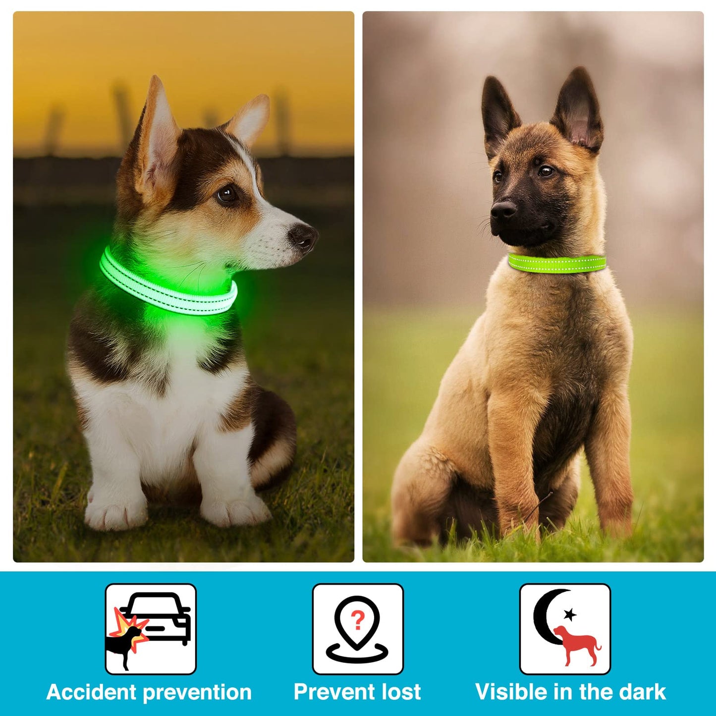 KOSKILL LED Dog Collar - Light Up, Adjustable, Rechargeable, Waterproof, Glow in Dark for Small Pets (S, Green)