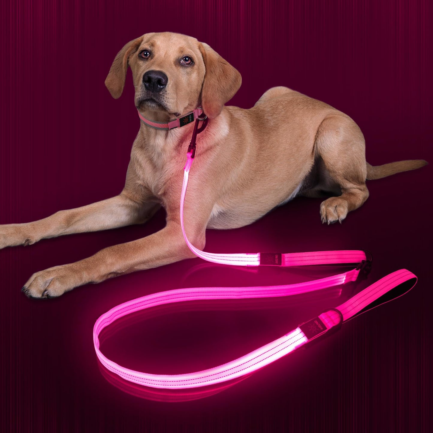 Dlitk Light Up Dog Leash, LED Leashes Rechargeable, Nylon Reflective Lead with Padded Handle for Night Walking, Safety Glow Lights for Large Medium Small Dogs(Pink,(4 Ft+2 Ft))