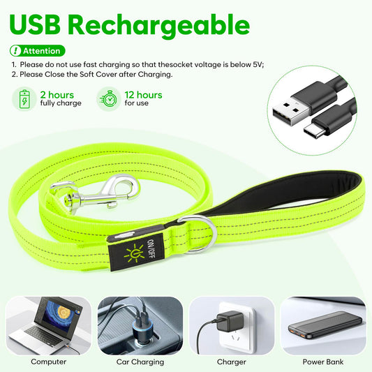 LED Dog Leash, 4 Ft Light Up Dog Leash USB Rechargeable Waterproof, Nylon Reflective Leashes with Padded Handle, Safety Glow in The Dark Pet Lights for Large Medium Small Pet(Green)