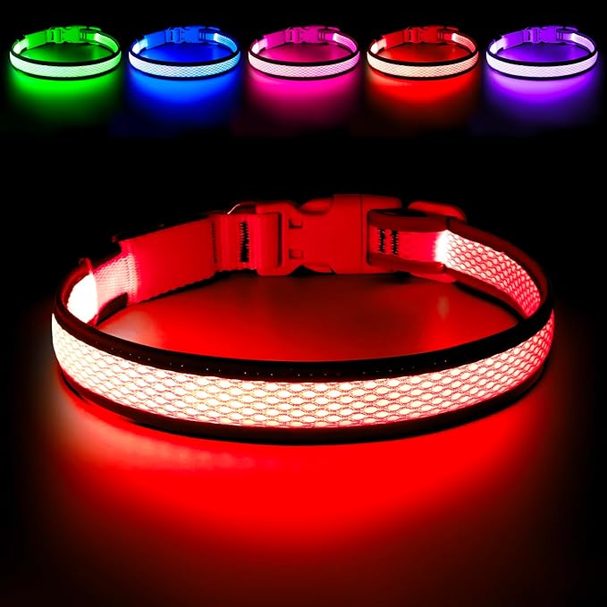Flashseen LED Dog Collar, Light Up Dog Collar USB Rechargeable, Brightest Dog Lights for Night Walking, Adjustable Dog Collar Light for Dog Safety(Small, Ruby Red)