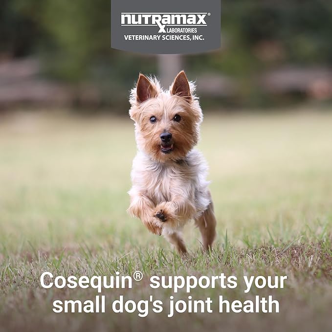 Nutramax Cosequin for Small Dogs, Joint Health Supplement, Contains Glucosamines, Chondroitin, MSM and Omega-3s, Supports Joint and Skin and Coat Health, Soft Chews, 45 Count