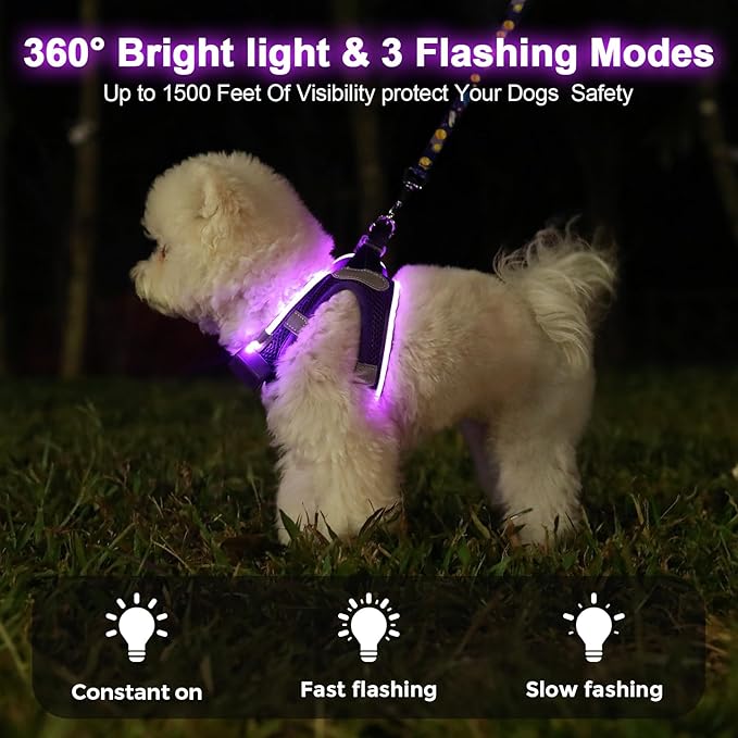 Light Up Dog Harness,Rechargeable LED Dog Harness for Small Medium Large Dogs,Reflective Lighted Safety Vest for Night Walking & Camping,Lightweight & Adjustable,Purple,L