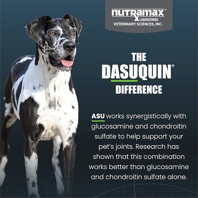 Nutramax Dasuquin for Large Dogs, Joint Health Supplement, Contains Glucosamine for Dogs, Plus Chondroitin, ASU and More, Supports Healthy Joints, Chewable Tablets, 84 Count