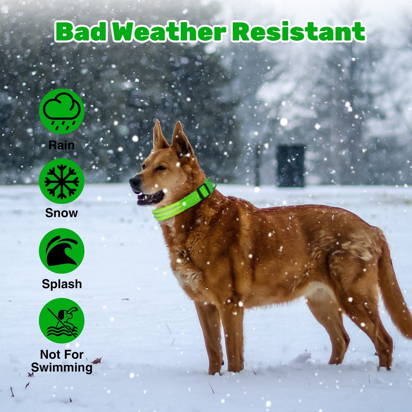 Geekman LED Dog Collar, LED Glow Collar with USB Rechargeable, Comfortable Adjustable Soft Mesh Safety Dog Collar for Dogs(Large, Green)