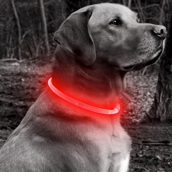 BSEEN Light Up Dog Collar - Rechargeable LED Dog Collar - 360° Glow in The Dark Pet Collar for Small Medium Large Dogs, TPU Cuttable Puppy Collar Safety Dog Lights for Night Walking (Red 70cm)