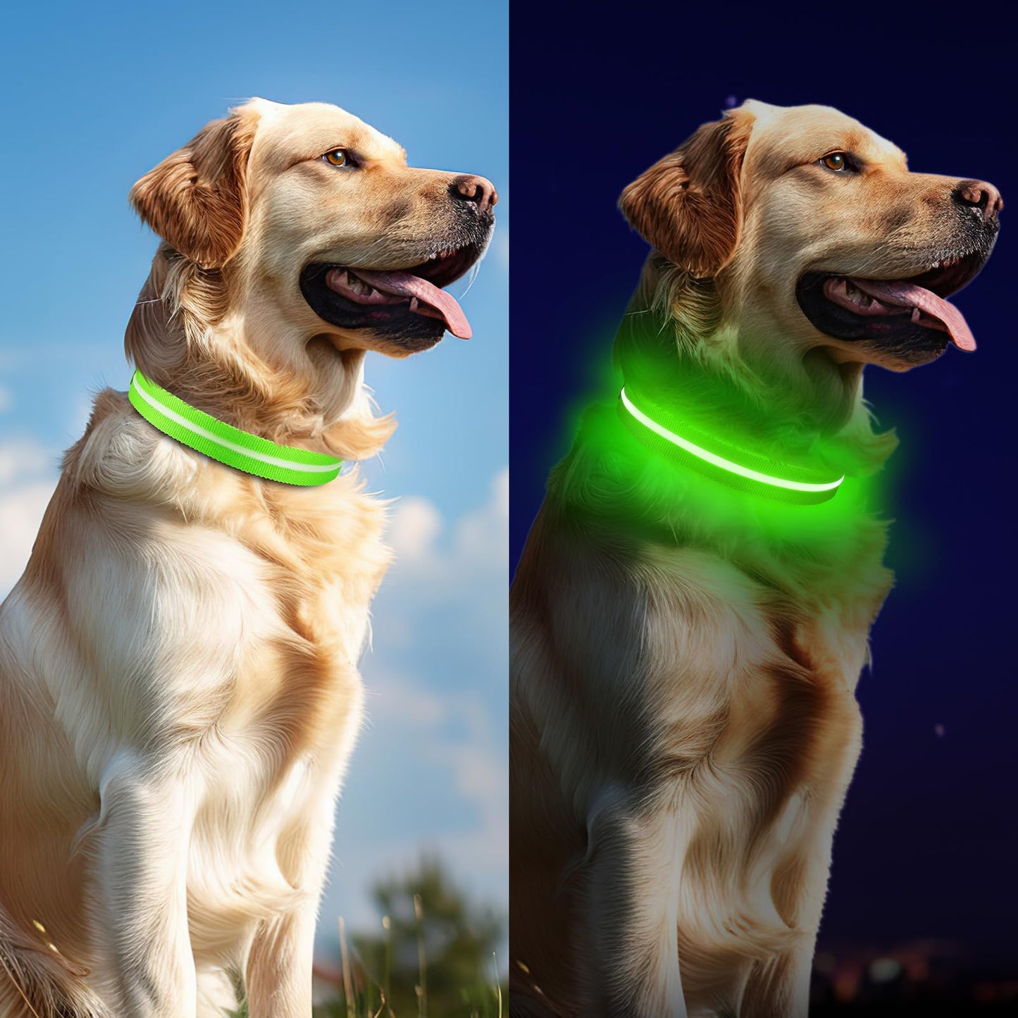 Jewyow Light Up Dog Collar, Adjustable USB Rechargeable Glow in Dark Dog Collar ,Waterproof Dog Collars for Small Dogs (Green, Small)