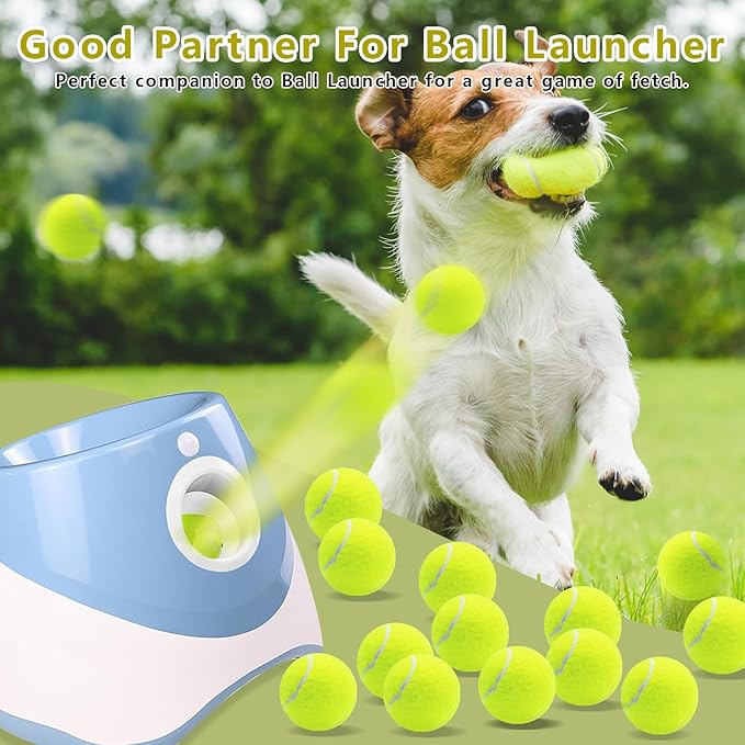 Magicorange Small Tennis Balls, 20 Pack 2 inch Tennis Balls for Dogs, Colorful Easy Catching Pet Dog Playing Ball with Mesh Bag for Easy Transport (Yellow, 2 inch)