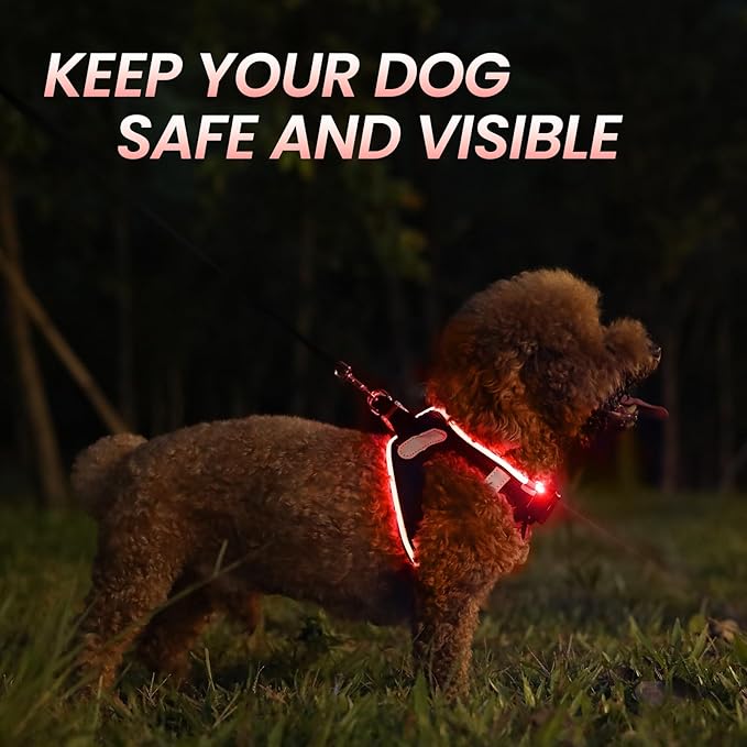 PceoTllar Light Up Dog Harness, LED No Pull Reflective Dog Harness, Flashing Lighted for Night Walking - Small/Medium, (Black Red,xs)