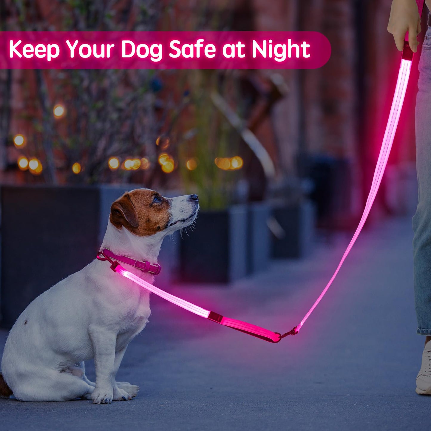 Dlitk Light Up Dog Leash, LED Leashes Rechargeable, Nylon Reflective Lead with Padded Handle for Night Walking, Safety Glow Lights for Large Medium Small Dogs(Pink,(4 Ft+2 Ft))