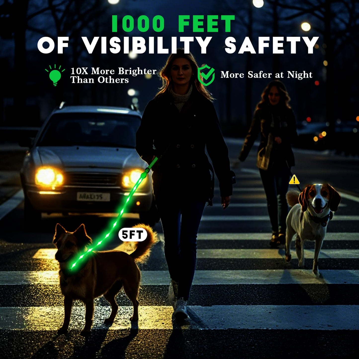 TuuToo LED Light Up Dog Leash, 5 Ft Rechargeable Lighted Glowing Dog Leash with 3 Flash Modes Night Walking Safety, Nylon Waterproof Reflective Leashes with Padded Handle for Small Medium Large Pet