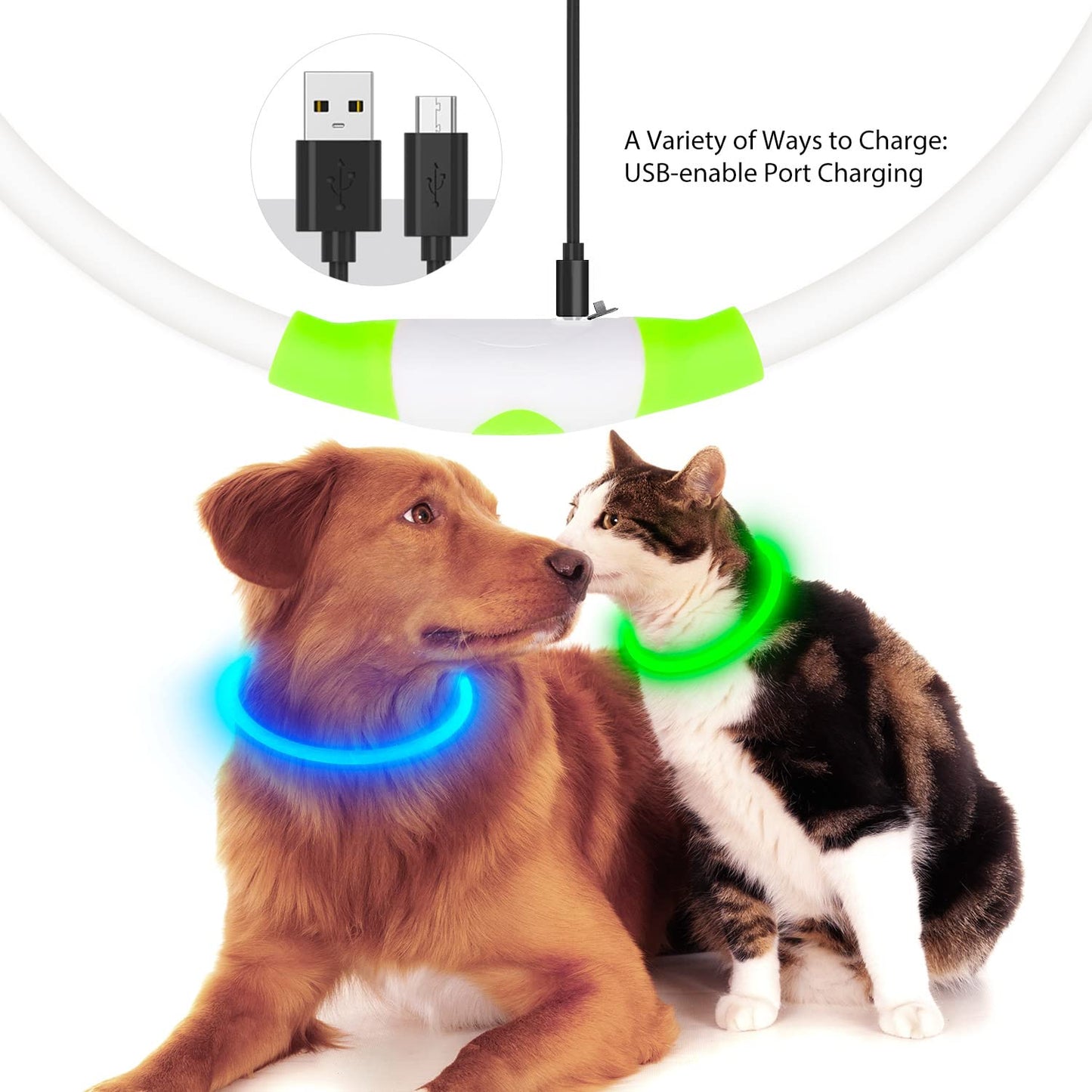 Flashseen LED Dog Collar, USB Rechargeable Glowing Lighted Up Collar, Cuttable Water-Resistant TPU Safety Collar Lights for Small Medium Large Dogs