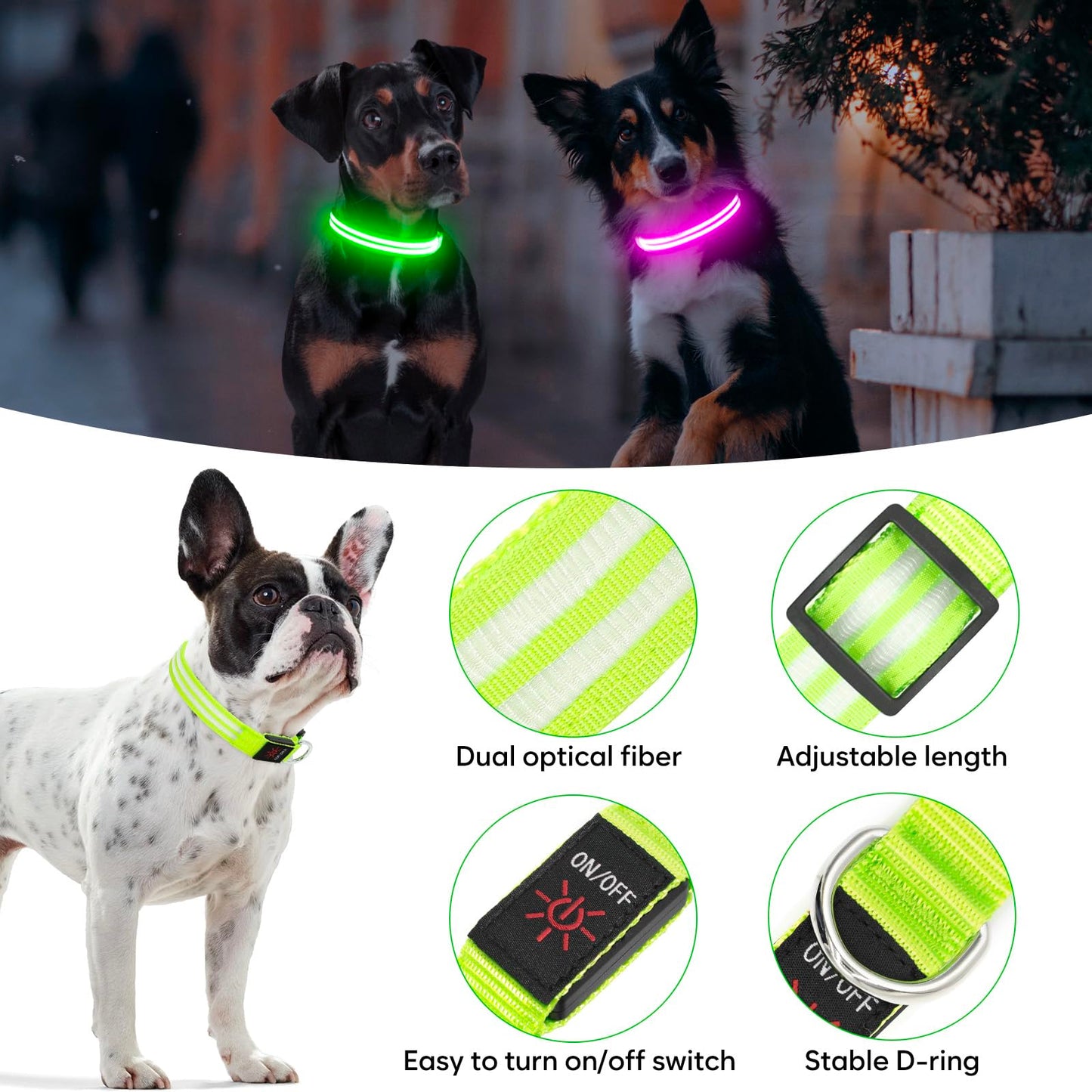 BSEEN Light Up Dog Collar - LED Dog Collar Rechargeable Lighted Pet Collars Glow in The Dark Puppy Collar Safety Dog Lights for Night Walking(Green, Small)