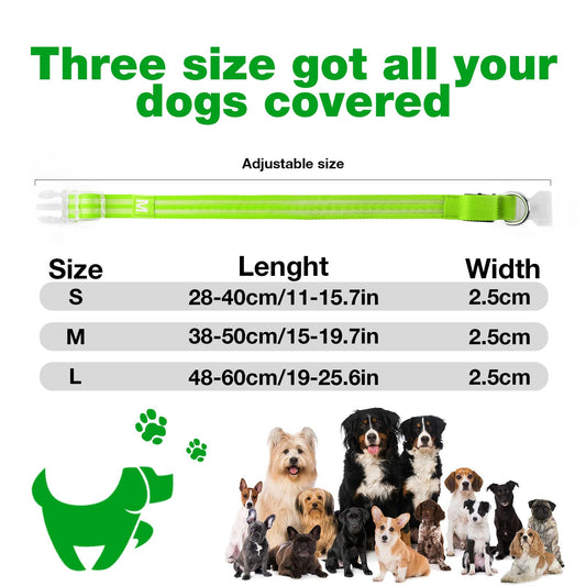 LED Dog Collar, Light Up Dog Collar, Lighted Dog Collars Adjustable for Night Walking, Glow in The Dark Dog Collars Light with USB Rechargeable Color Changing Waterproof for Dogs (Green, Small)