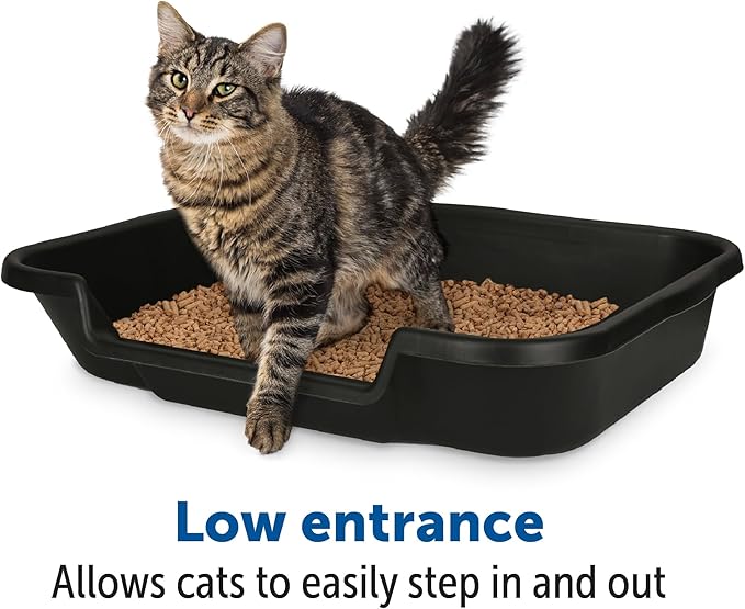 KittyGoHere Senior Cat Litter Box 1 Pack, Large Black Low Entrance Kitty Litter Box, Sized for Cats Comfort, Perfect for Senior and Arthritic Cats, Made in USA – Includes Long-Handle Jumbo Scoop