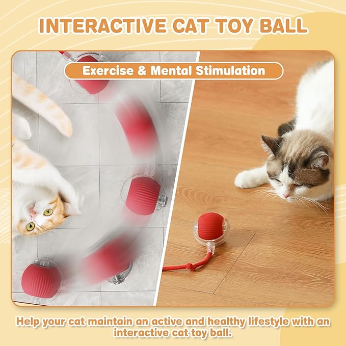 Interactive Cat Toys for Indoor Cats, Rechargeable 360° Automatic Moving Cat Toy for Bored Indoor Adult Cats, 2025 Upgraded Chase Motion Activated Kitten Toys - Red