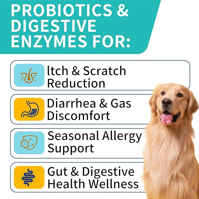 Probiotics for Dogs, Improve Itchy Skin Itchy Ears, Gut Health, Yeast Balance, Allergies, Immunity, Dog Probiotics and Digestive Enzymes with Prebiotics, Reduce Diarrhea (180 Chews, Steak)