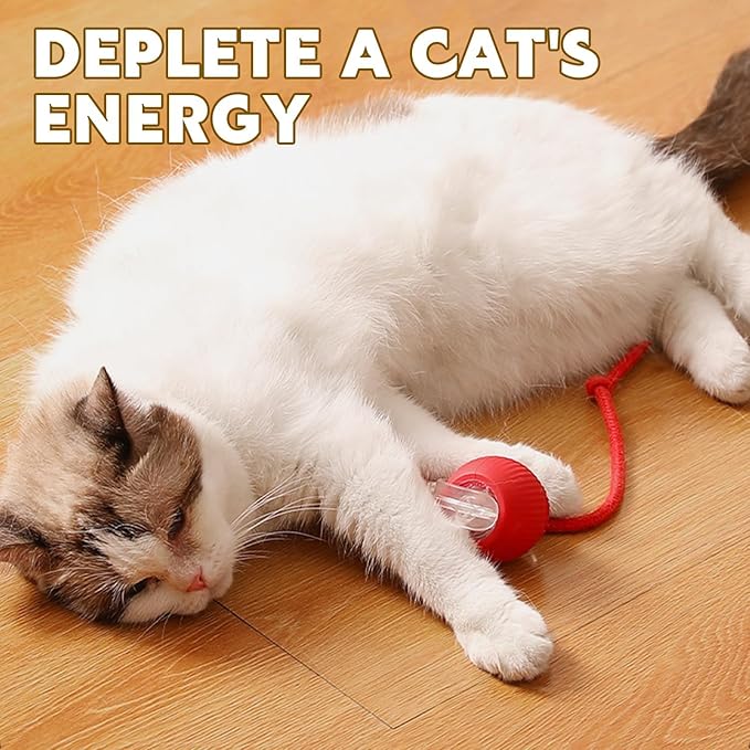 360° Smart Automatic Rolling Pet Ball - Interactive Dog & Cat Toy for Indoor Cats & Kittens (Grey)