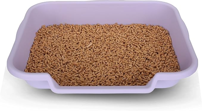 KittyGoHere Senior Cat Litter Box 2 Pack, Large Storybook Lavender Low Entrance Kitty Litter Box, Sized for Cats Comfort, Perfect for Senior and Arthritic Cats, Made in USA