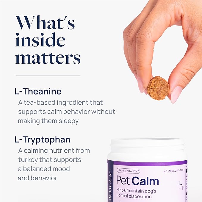 Veterinary Formula Pet Calm 60ct – Vet-Formulated Calming Chews for Dogs with L-Theanine, L-Tryptophan for Behavior Support, Relaxation Treats, Puppy Chews for Stressful Situations, Dog Calming Aid