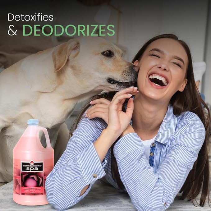 Best Shot Scentament Spa Caressing Body Wash, Fresh Apple Lily, 1 gallon