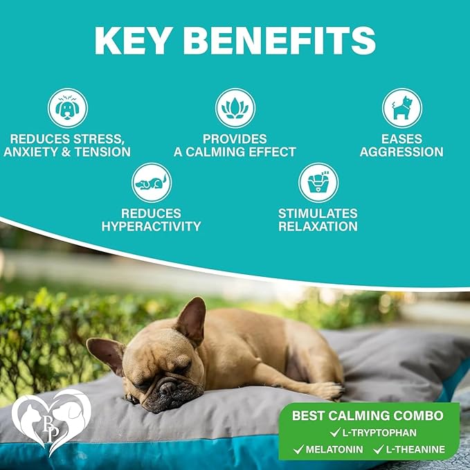 Beloved Pets Calming Chews for Dogs & Puppy - Pet Separation Anxiety Relief Soft Treats & Calm Behavior Aid - Melatonin for Sleep- Anti Stress Treatment Help with Thunder- Made in USA