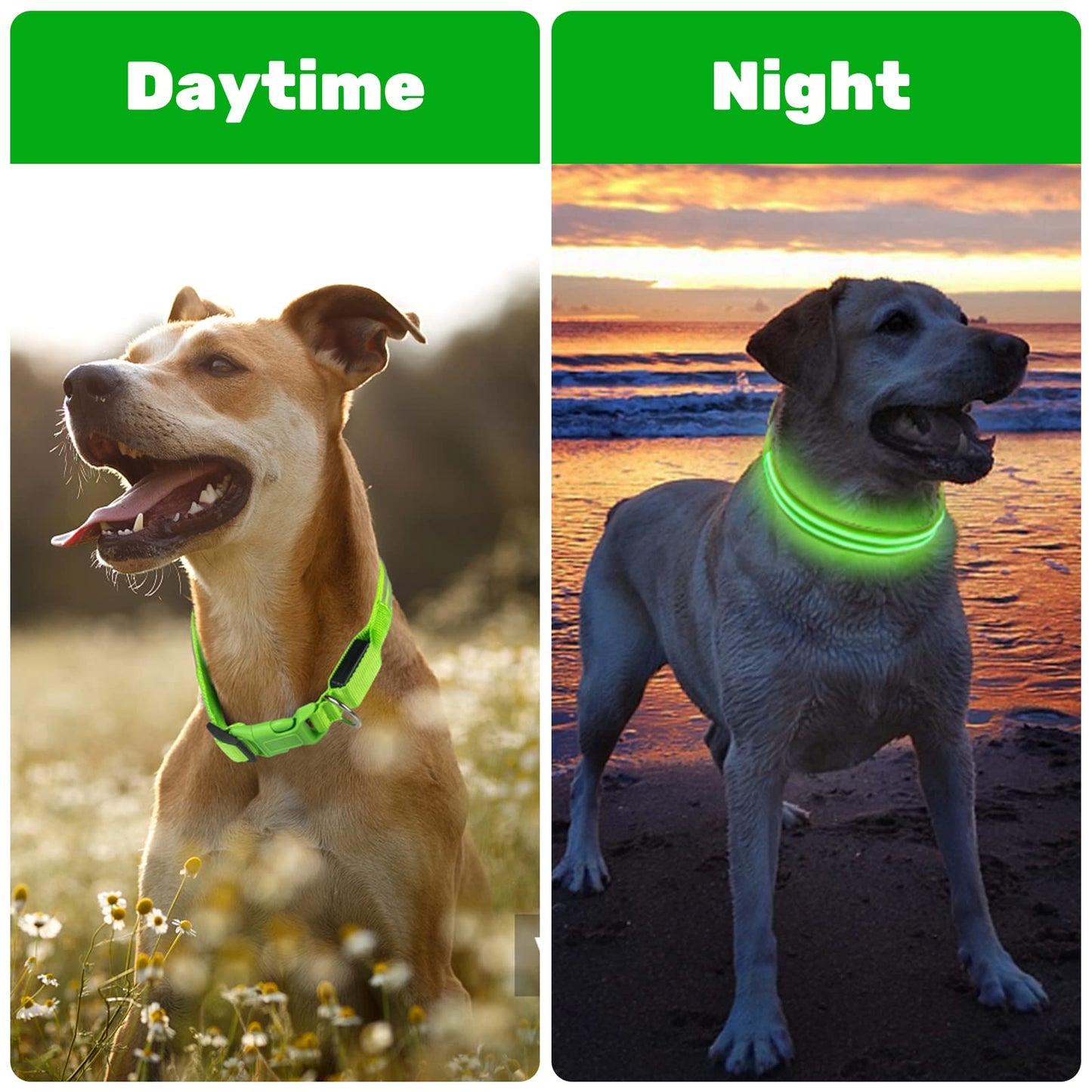 Geekman LED Dog Collar, LED Glow Collar with USB Rechargeable, Comfortable Adjustable Soft Mesh Safety Dog Collar for Dogs(Large, Green)