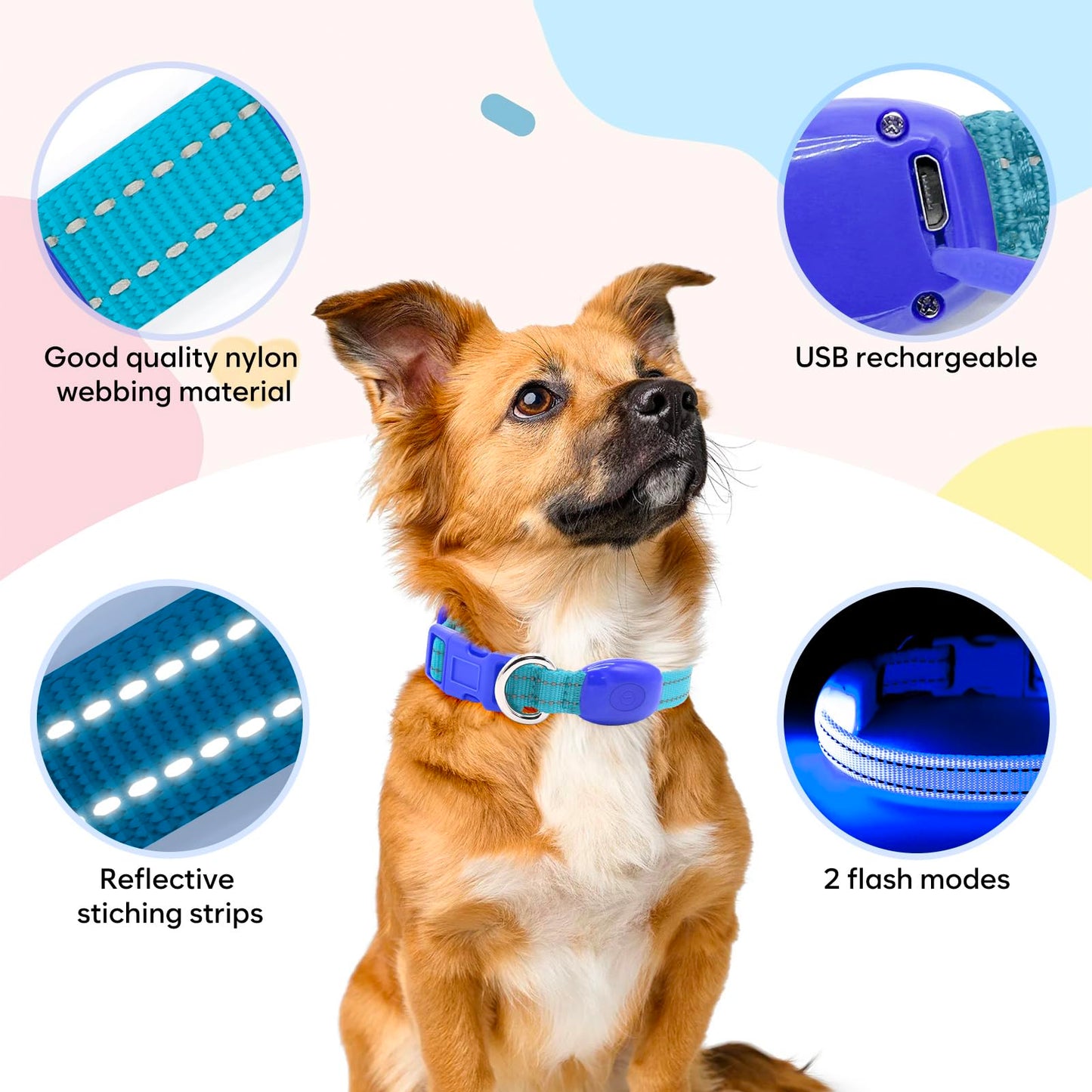 Domagiker LED Dog Collar Rechargeable - Reflective Light Up Cat Collar Adjustable Glowing Puppy Necklace Safety Dog Lights for Night Walking (XS, Blue)