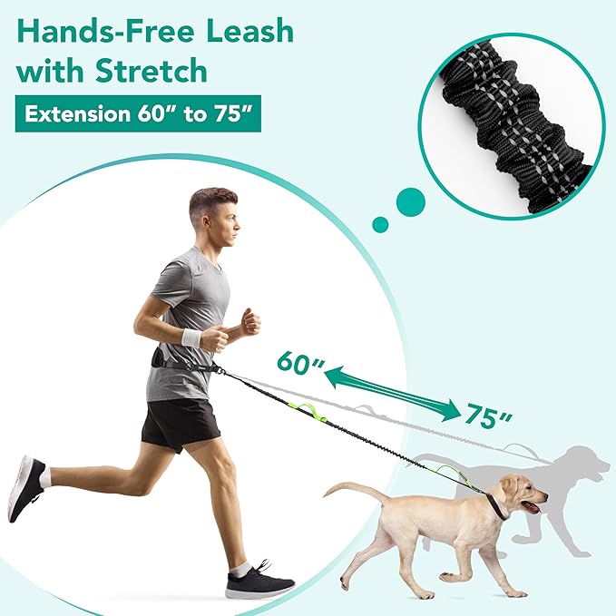 PetAmi Heavy Duty Hands Free Dog Leash, Adjustable Waist Belt for Large Dog Walking Up to 125 lbs, Bungee Leash for Pet Running, Hiking, Reflective Safety for Jogging, Biking, Green Handle