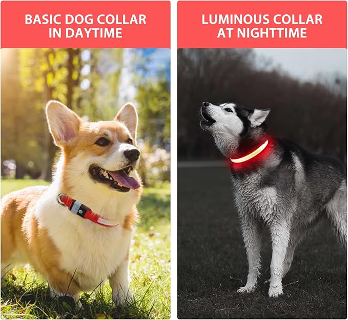 PcEoTllar Light up Dog Collar for Night Walking - LED Dog Collar Light Rechargeable Color Changing, Glow in The Dark Dog Collars Waterproof Glowing Dog Collars for Large Small Medium Dogs