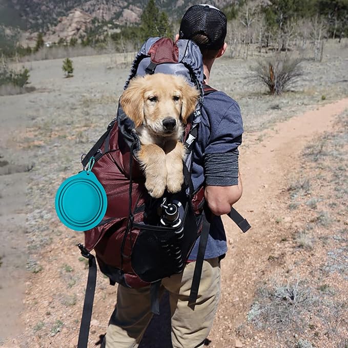 SLSON 2Pack Collapsible Dog Bowl,Integrated Molding Travel Bowl No Plastic Rim Pet Feeding Bowls for Walking Traveling Outdoors,600ML (Light Blue+Light Green)