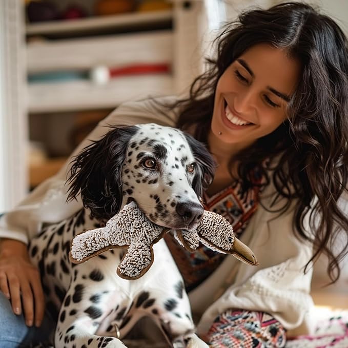 No Stuffing Dog Squeak Toys- Chew Toys for Small Medium Large Breed- Durable Puppy Teething Interactive to Keep Them Busy- Best Birthday Gift(Platypus)