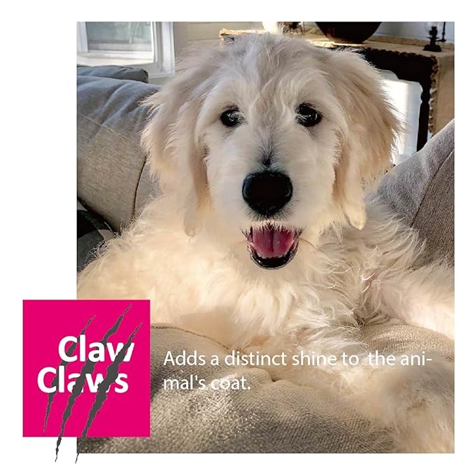 Pet Slicker Brush for Large Dogs, Wooden Handle with Stainless Steel Soft Pins, Gently Remove Tangled, Loose Undercoat and Mats Hair, Pet Grooming Brush Tool (8"), Wool Needle Felting Brush