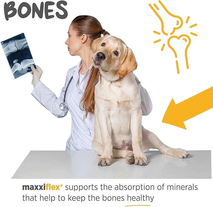 maxxipaws - maxxiflex+ Hip & Joint Supplement for Dogs with Glucosamine, Chondroitin, MSM & Collagen | Mobility, Flexibility & Discomfort Support | Senior, Adult & All Breeds | 120 Tablets