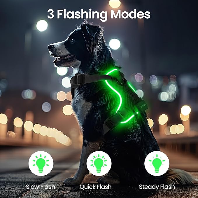 Light Up Dog Harness,Reflective Pet Harness Rechargeable,Led Dog Vest Harness for Night Walking,Adjustable Dog Safety Vest for Small Medium Large Dogs-No Pull,Black,M