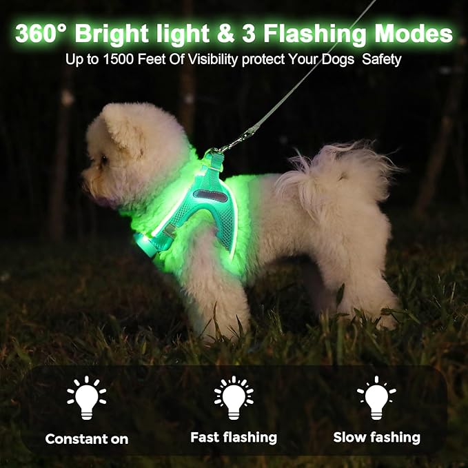 Light Up Dog Harness,Rechargeable LED Dog Harness for Small Medium Large Dogs,Reflective Lighted Safety Vest for Night Walking & Camping,Lightweight & Adjustable,Light Green,XS