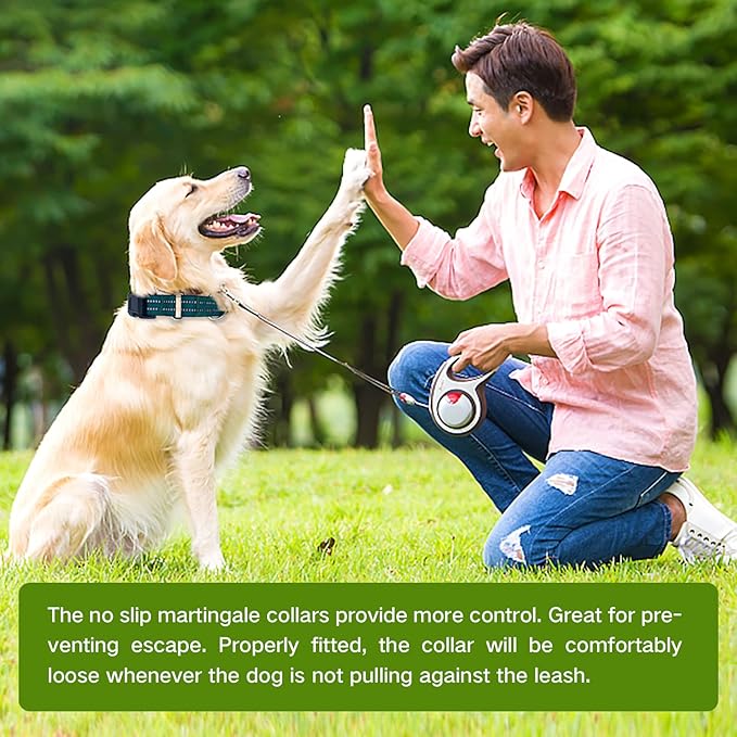 Hikiko Martingale Dog Collars Reflective Nylon Dog Collar with Quick Release Buckle Adjustable Training No Slip Dog Collar (Small, Dark Green)