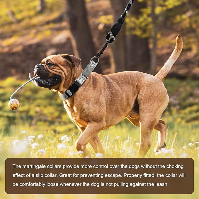 Hikiko Reflective Martingale Collar for Small Dogs with Buckle Adjustable Training Walking No Slip Collars, Sliver Gray, S