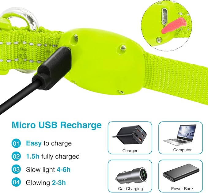 LED Dog Collar - Light Up, Adjustable, Rechargeable, Waterproof, Glow in Dark for Small Pets (S, Green)