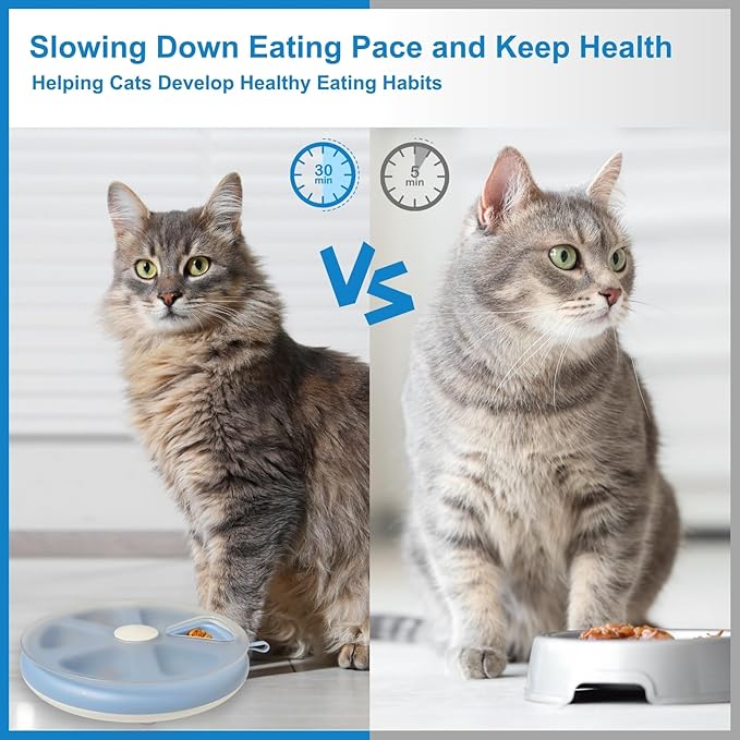 Interactvie Cat Treat Toys, Food Puzzle, Maze Feeder Toys for Indoor Cats and Kittens (Blue)