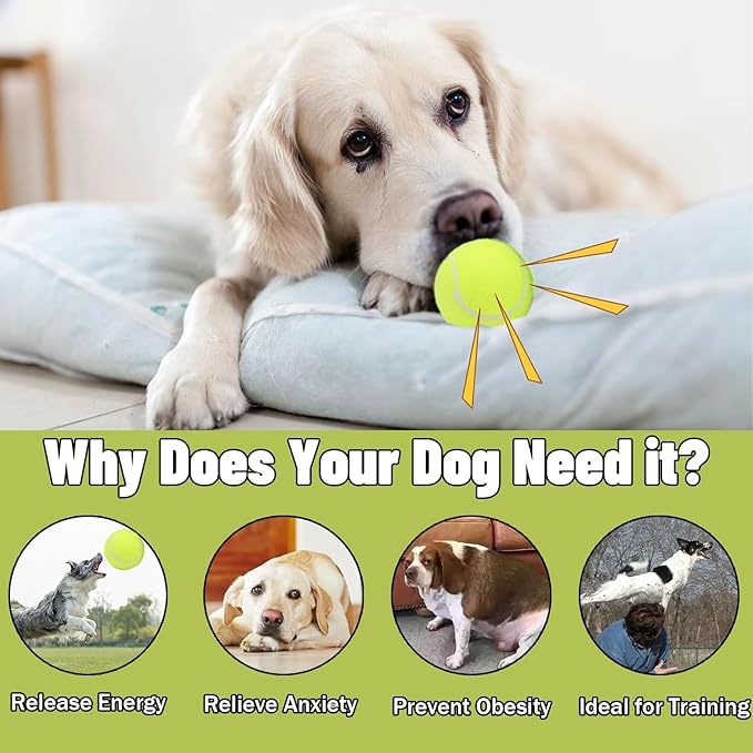 Magicorange Dog Tennis Balls, 20 Pack 2.5 inch Floatable Squeaky Tennis Balls for Fetch Exercise, Natural Rubber Squeaky Dog Balls Training Safe (Yellow, 2.5inch)