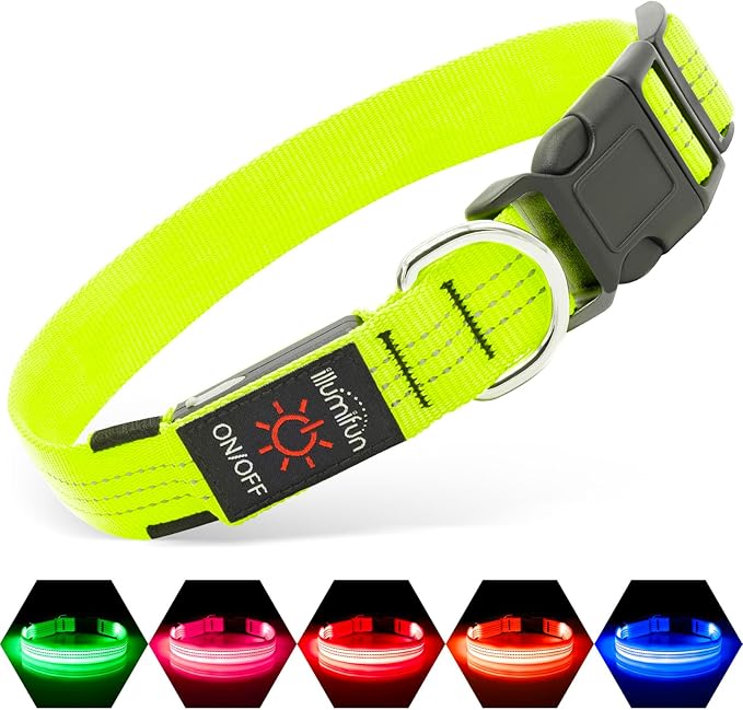 Illumifun LED Dog Collar, Rechargeable Light Up Collars, Reflective Safety Collar Light for Nighttime Walking Camping (Greenā
¢, Medium)
