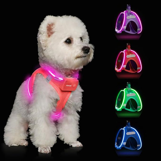 Light Up Dog Harness,Rechargeable LED Dog Harness for Small Medium Large Dogs,Reflective Lighted Safety Vest for Night Walking & Camping,Lightweight & Adjustable,Fluorescent Pink,S