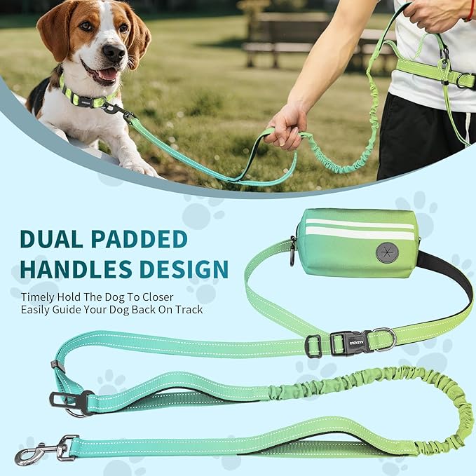 Hands Free Dog Leash with Removable Zipper Pouch, Dual Padded Handles and Durable Bungee for Walking, Jogging and Running-Cyan